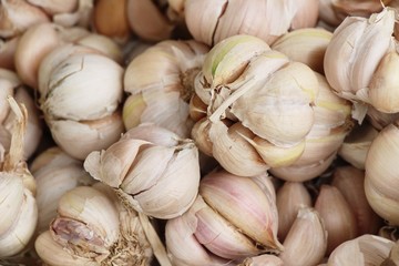 Garlic head for cooking at street food