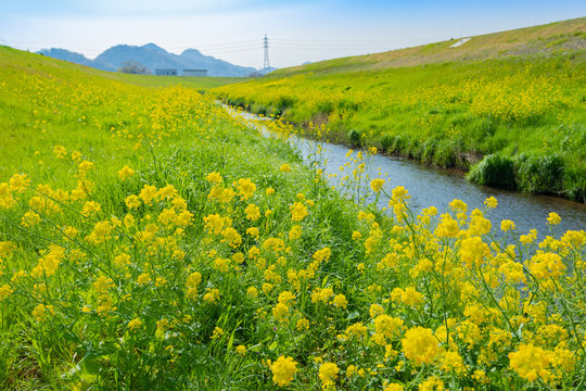 小川 の画像 70 766 件の Stock 写真 ベクターおよびビデオ Adobe Stock