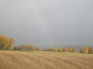 sunset and rainbow over a wheat field