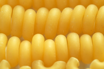 Raw wheat pasta close up