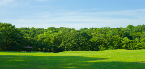 green park , blue sky