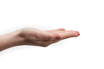 Hands holding something on white background. Woman hand isolated on white background, clipping path.