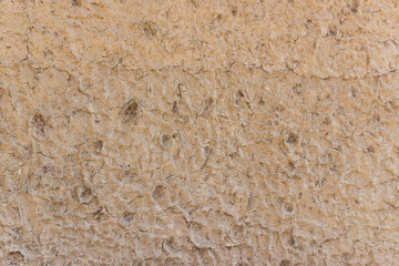 textured clay wall