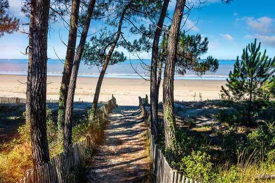 paysage de la c&ocirc;te de charente maritime