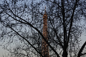La tour Eiffel derrière les arbres