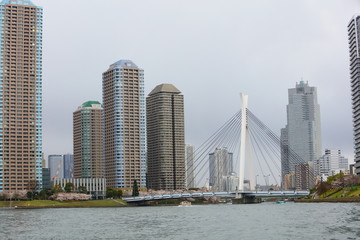 Fototapeta premium 東京リバーサイド