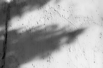 background pattern abstract textures streaks on the white wall with shadow