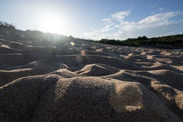 Fototapeta na wymiar Sand of La Licciola Beach in Sardinia