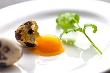Broken quail eggs with parsley on the white table
