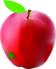 Czerwone jabłko vector
