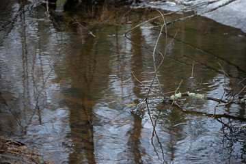 landscape -  spring  river