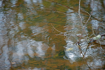 landscape -  spring  river