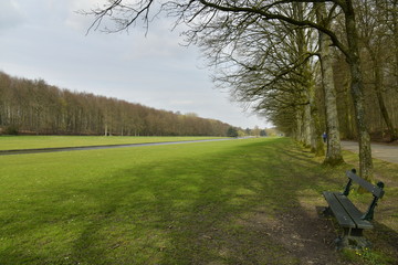 Banc le long de la grande pelouse longeant le canal qui relie les étangs au parc de Tervuren à l'est de Bruxelles