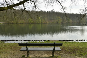 Fototapeta na wymiar Banc en face de l'étang du Château aux berges érodées au parc de Tervuren à l'est de Bruxelles