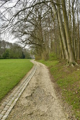 Fototapeta na wymiar L'un des chemins entre la pelouse et un bois vers le Palais des Colonies au parc de Tervuren à l'est de Bruxelles