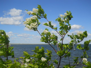 дороги, города