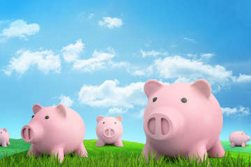 3d rendering of several pink piggy banks on green sunlit meadow under blue sky with white clouds.