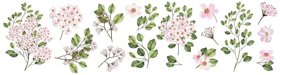 Blooming garden twig with pink flowers. Watercolor illustration. Botanical collection of wild and garden plants. Set: leaves, flowers, branches and other natural elements.