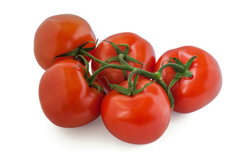fresh organic soil tomatoes on branch isolated on white close up