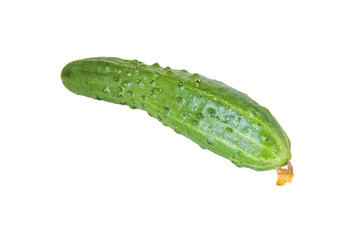 medium ground organic cucumber isolated on white