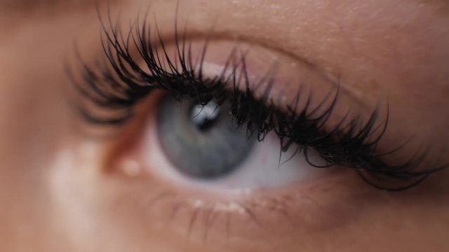 Female eye with long russian volume eyelashes close up blue eyes macro open nude clear skin
