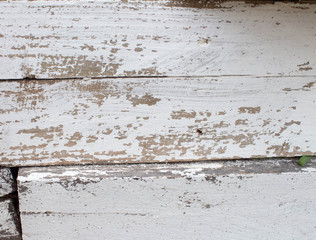 White wooden background with old paint, cracks, scuffs. Space under the text. Old stump in...