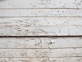 White wooden background with old paint, cracks, scuffs. Space under the text. Old stump in whitewash.