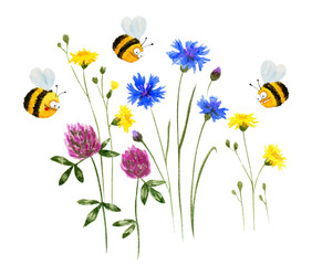 Funny bees and wild flowers. Hand drawn watercolor - 260081912