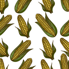 Seamless pattern of color corn on white background.