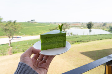 Green tea cake with organic tea on top of cake at Choui fong tea farm.