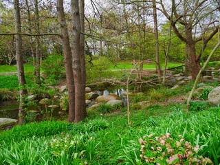 Frühling am Bach