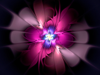 Obraz premium abstract flower fractal shape