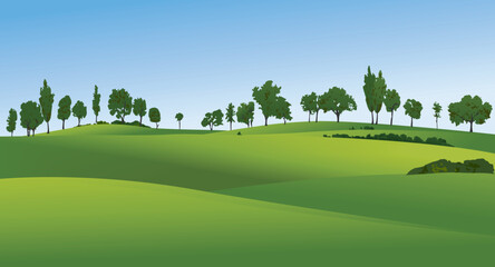 Rural landscape with green fields