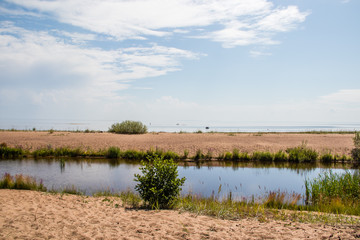 river on the beach. river among the sands. a small river on the beach