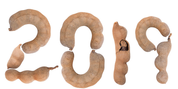 Tamarinds alphabet letter "2019" isolated on white background, Tamarind season