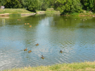 ботанический сад