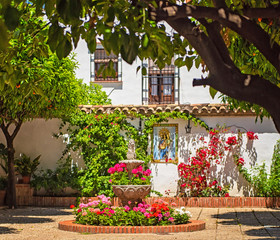 Nice patio with flowers and pond in Cordoba, Spain