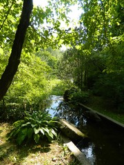 ботанический сад