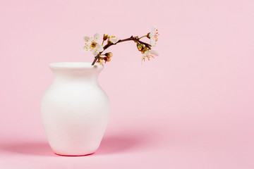blooming twig in white jug on pink background close up with copy space