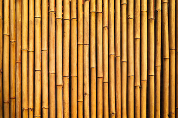 Fototapeta premium Bamboo texture wall background