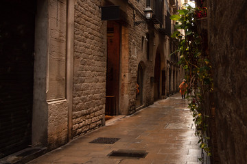 Street in the Gothic quarter of Barcelona, Catalonia, Spain