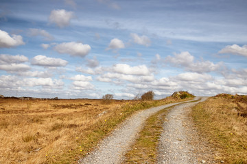 Farm road in a bog with typical vegetation and rocks