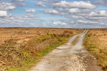 Farm road in a bog with typical vegetation and rocks