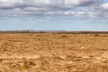 Windo Power Farm field in a bog with typical vegetation and rocks