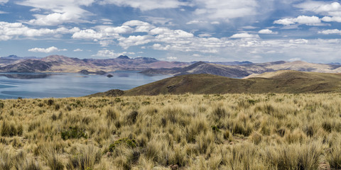 Obraz premium Meadows on the coast of lake Lagunillas