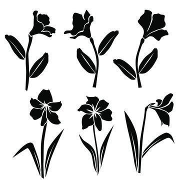 Vector silhouettes of flowers, rhododendron, lily, blossom,  black color isolated on white background