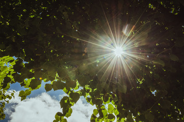 abstract background with sun