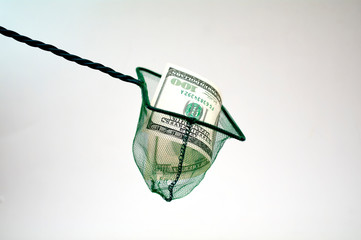 Fishing net with money conceptual photo