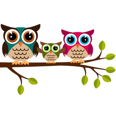 Owl family on a branch 