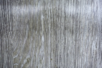 Texture of wood background
